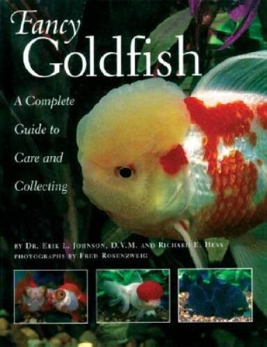 Fancy goldfish complete guide - goldfish:,