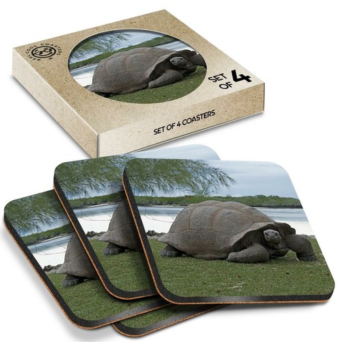 Boxed square coasters - 4,