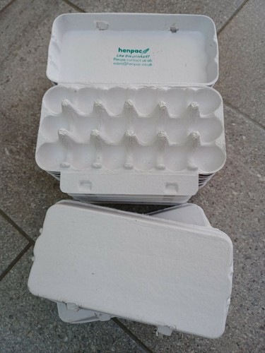 Quail egg - 18-egg,