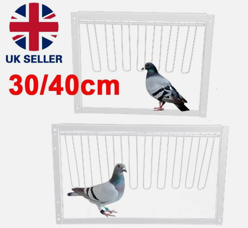 Removable pigeon entrance door - pigeon,