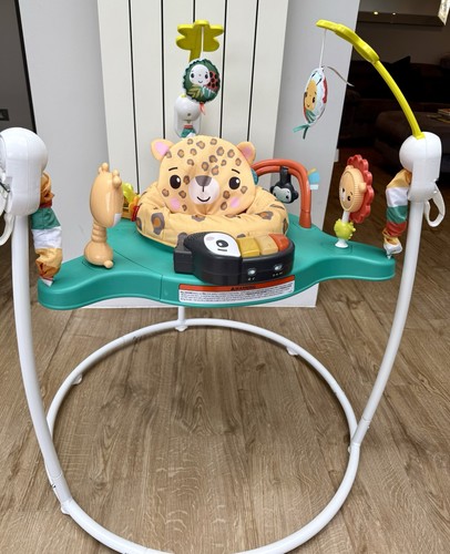 Fisher price jumperoo baby - fisher-price,