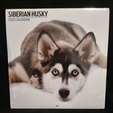 Siberian Husky Modern 2025
