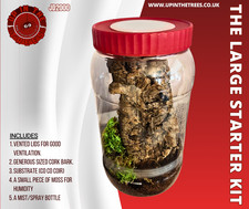 Spiderling juvenile tarantula housing enclosure