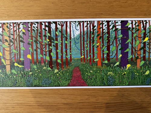 David hockney arrival - hockney, of