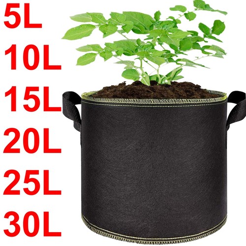 Fabric planting pots plant - planting,