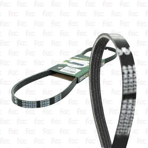 Alternator drive belt - alternator, /