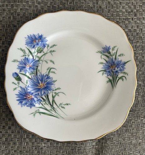 Royal vale cornflower - royal,