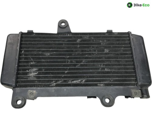Yamaha 660 water radiator - z,