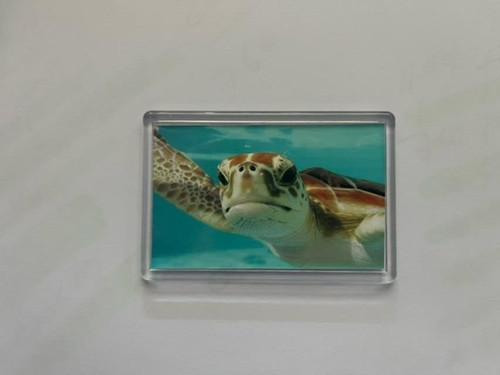 Sea turtle stunning nature - turtle,,
