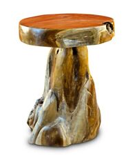 Root Wood Table 50 cm Wood Side Table Tree Trunk Round Pedestal