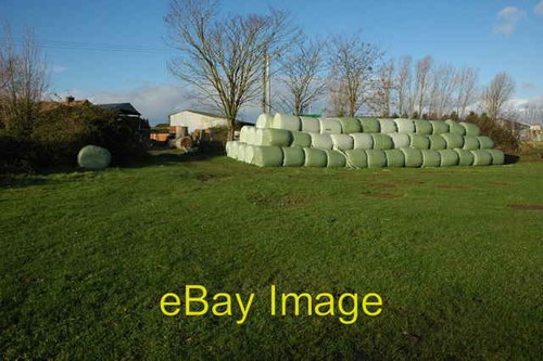 Photo 6x4 silage - 6x4, bales,