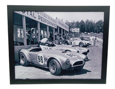 Framed Ford Shelby Cobras at