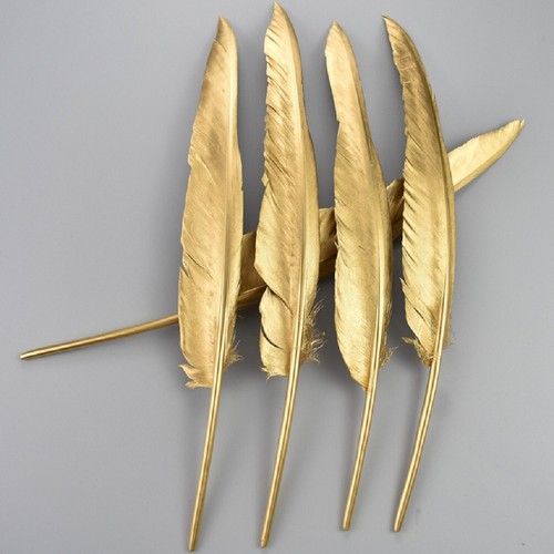 Large gold goose feathers - goose,