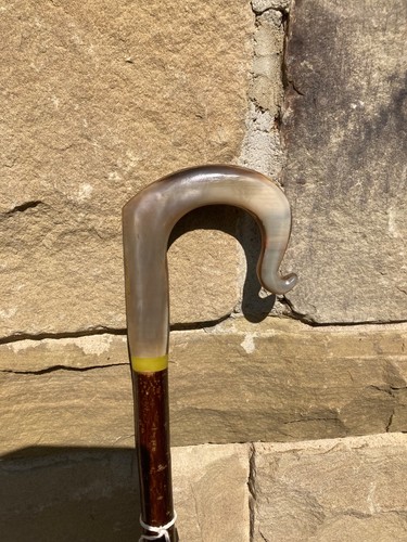 Cow horn crook handle stick - horn,