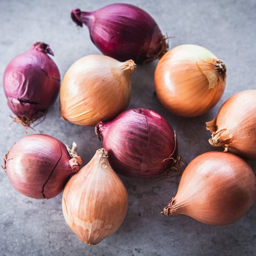 Onion sets spring planting - onion,