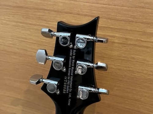 Prs custom semi hollow - se, 22