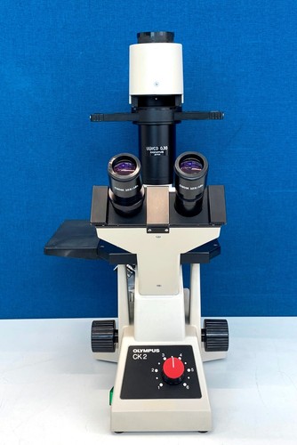 Olympus ck2 inverted phase - inverted,