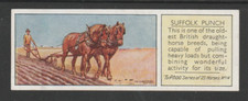 1938 Typhoo - Horses  -