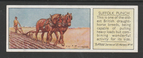 1938 typhoo horses - typhoo,