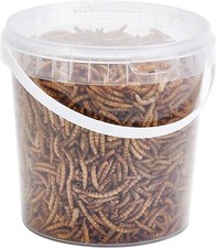 Pet Ting Premium Dried Mealworms, 1 Litre Tub