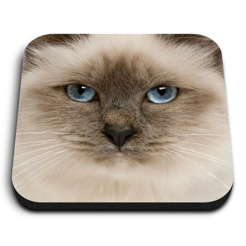 Square mdf magnets blue - square, eyed