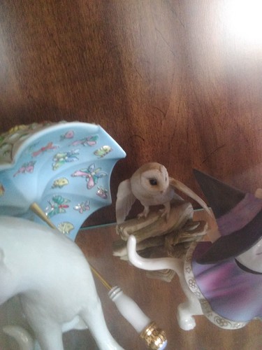 Teviotdale porcelain barn - , owl