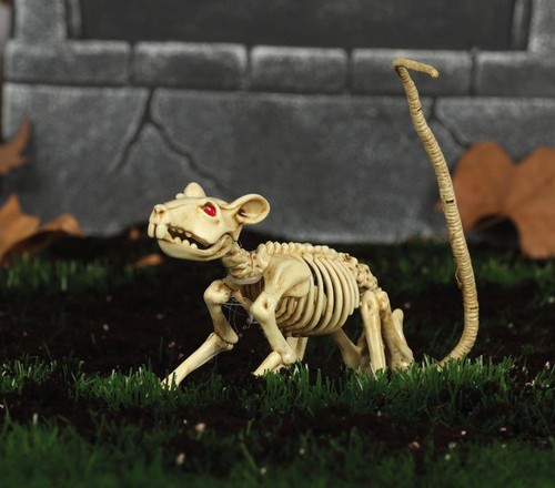 Rat skeleton cm - 20,