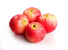 4 Large Best Artificial Red