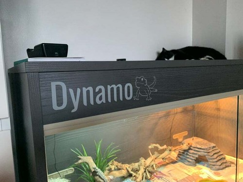 Custom vivarium name sticker - vivarium,