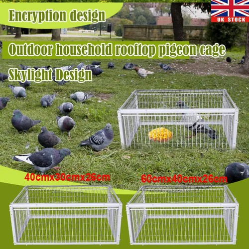 Pigeon trap cage single - pigeon, way