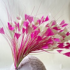 80 Colours Triangular Feather