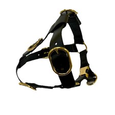 Gucci Leather Pet Harness For