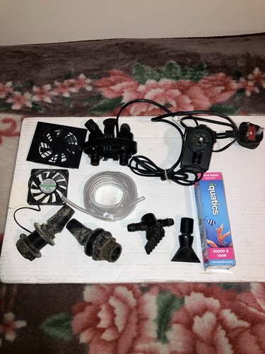 Gb32 joblot aquarium - joblot, fish