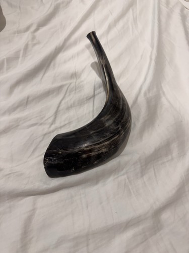 Rams horn shofar inch - rams,