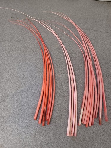 Stripped ostrich quill spine - , x