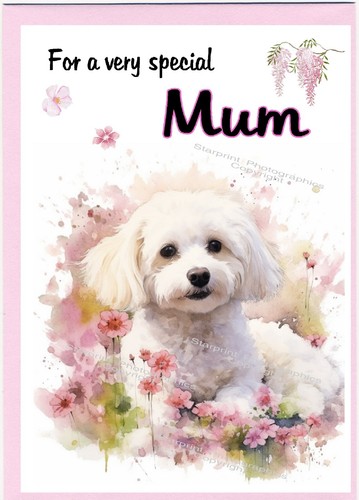 Bichon frise dog blank card - bichon,