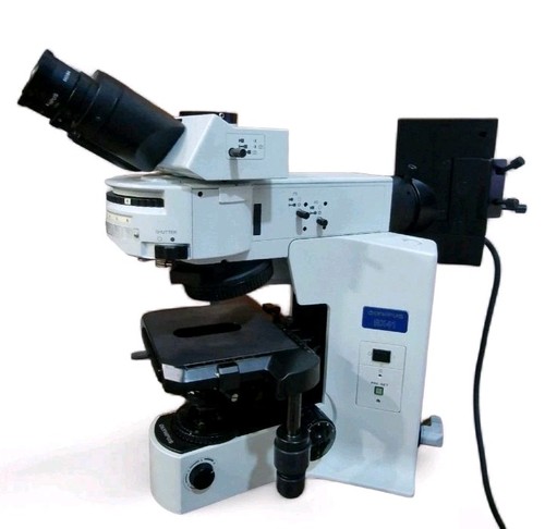 Olympus microscope with - olympus,