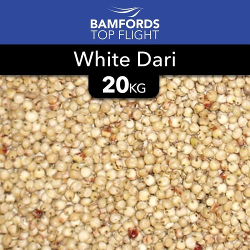 White dari 20kg - 20kg, fishing