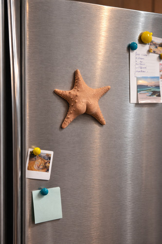 Starfish with booty fridge - booty,