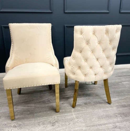 Bianca cream velvet - 2, x