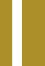Twin 4mm 2mm flat - flat, gold