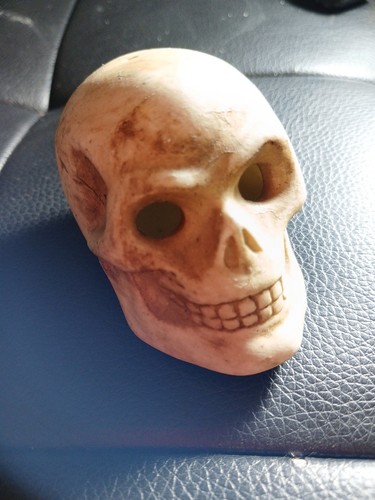 Small clay gothic skull - small,