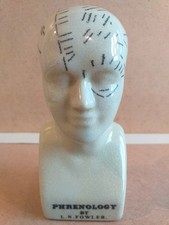 L.N. Fowler: Vintage Phrenology Head, (16 cm H).