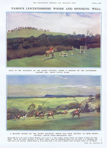 Leicestershire woods and - leicestershire,