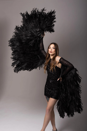 Black angel wings movable - wings,