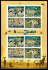 Zambia 2008 - WWF Kudu Animals