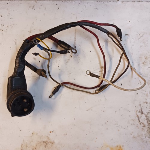 Mercury outboard engine - mercury,