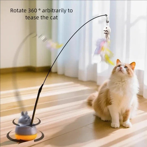 Cat kitten toy feather - cat,