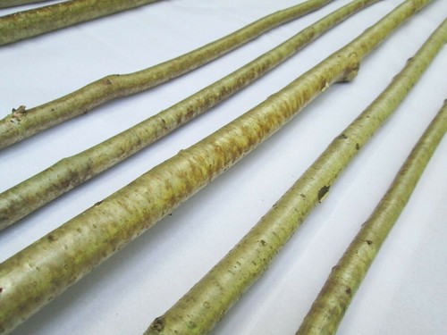 90cm long natural hazel - x,