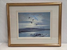 Peter Scott Royal Doulton